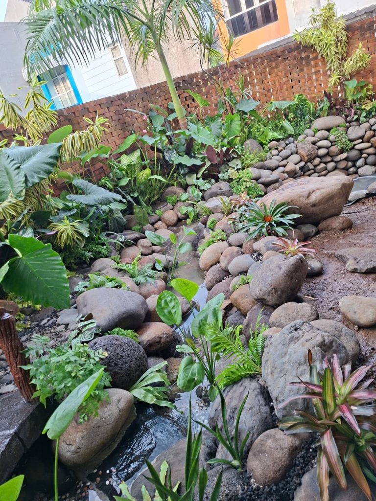 Taman minimalis dengan batu alam dan kolam natural karya Erwin Flora di area rumah modern Jabodetabek